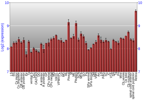 Expression graph