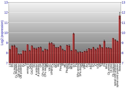 Expression graph