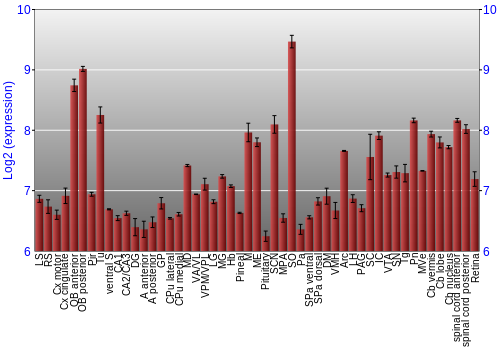 Expression graph