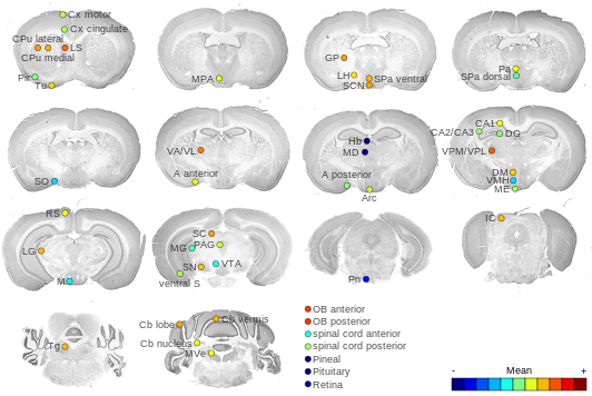 Expression map