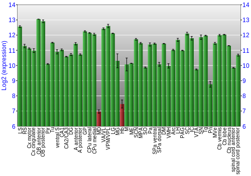 Multi-state expression graph