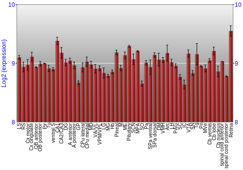 Expression graph