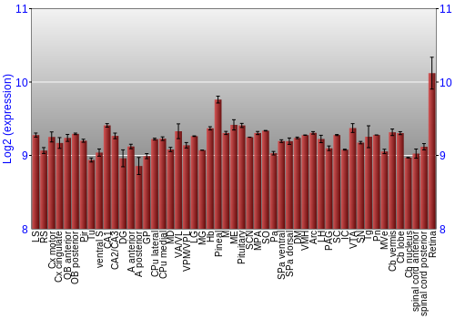 Expression graph