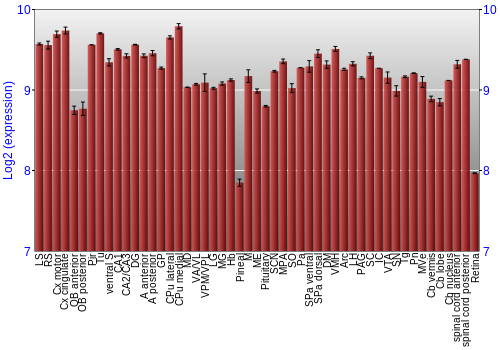Expression graph
