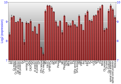 Expression graph