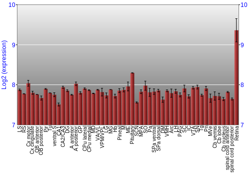 Expression graph