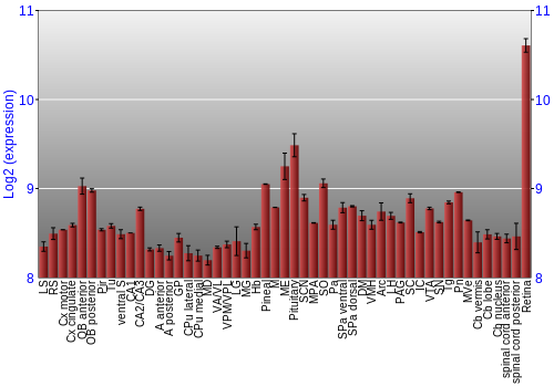 Expression graph