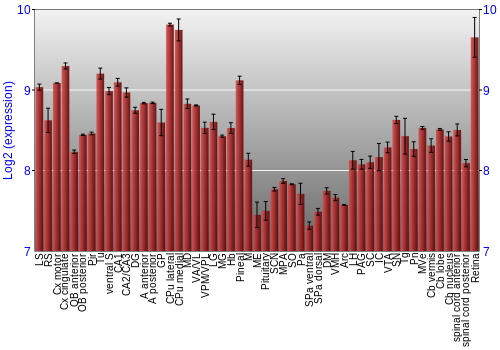 Expression graph