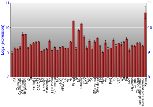 Expression graph