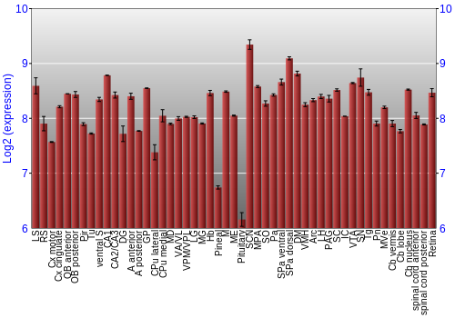 Expression graph