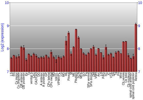 Expression graph