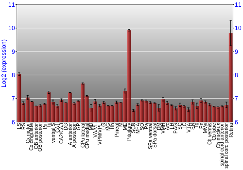 Expression graph