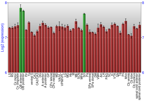 Multi-state expression graph