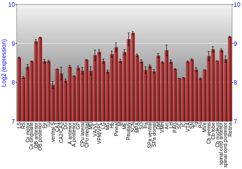 Expression graph