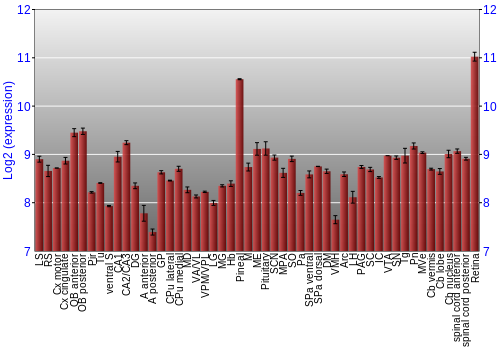 Expression graph