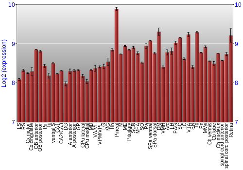 Expression graph