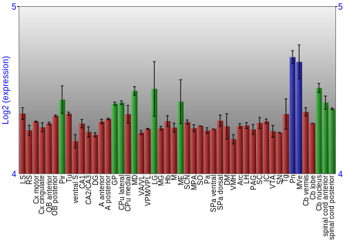 Multi-state expression graph