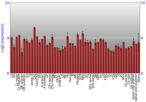 Expression graph