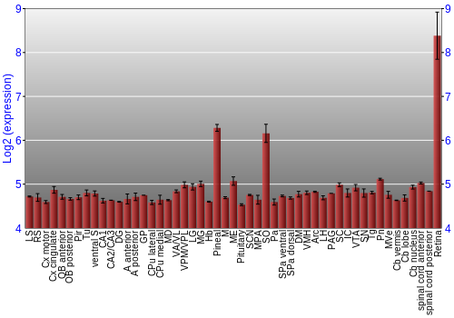 Expression graph