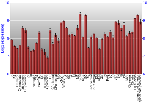 Multi-state expression graph
