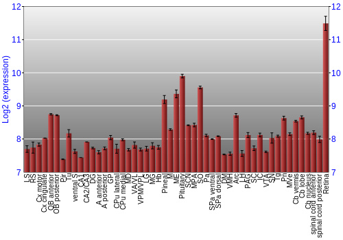 Expression graph