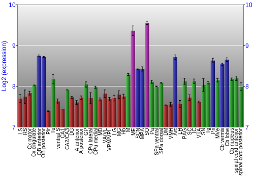 Multi-state expression graph