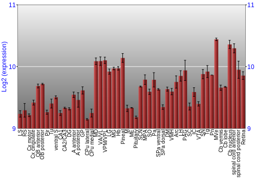 Expression graph