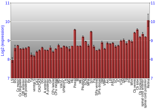 Expression graph