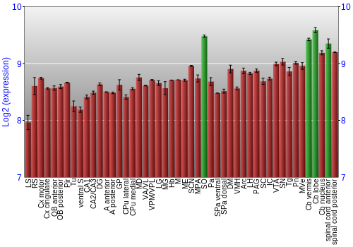 Multi-state expression graph