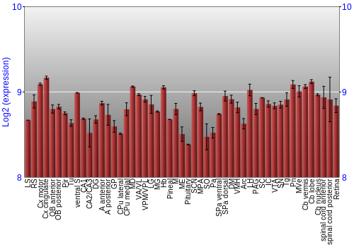 Expression graph