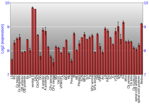 Expression graph