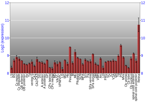 Expression graph