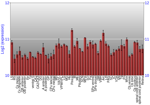 Expression graph