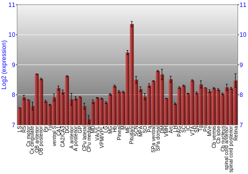 Expression graph