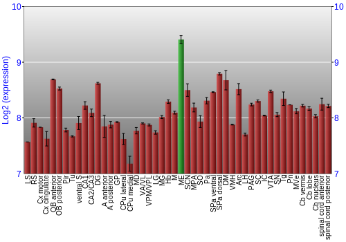 Multi-state expression graph