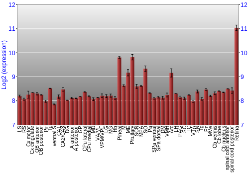Expression graph