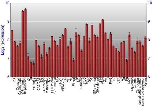 Expression graph