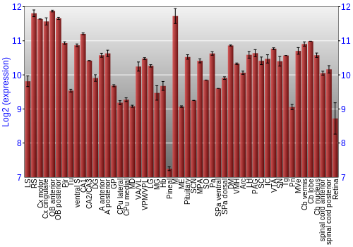 Expression graph