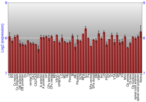 Expression graph