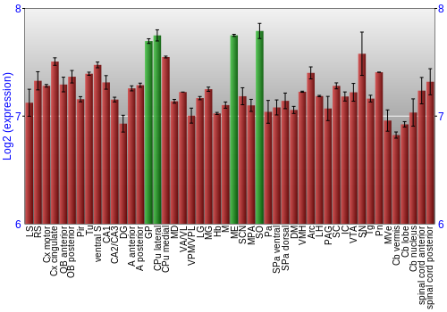 Multi-state expression graph