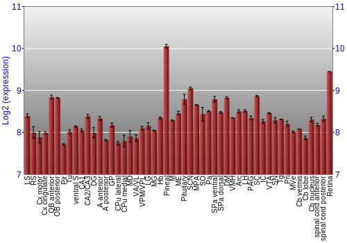 Expression graph