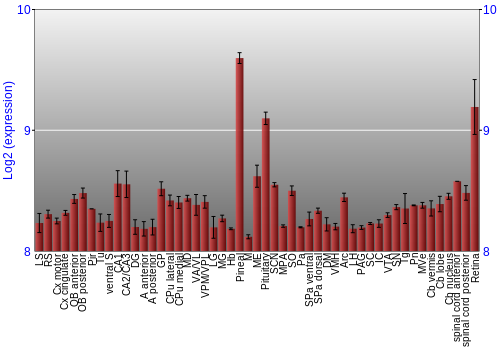 Expression graph