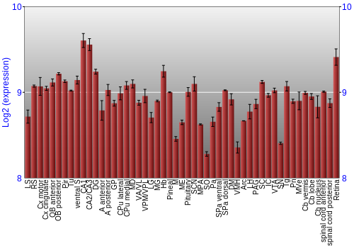 Expression graph