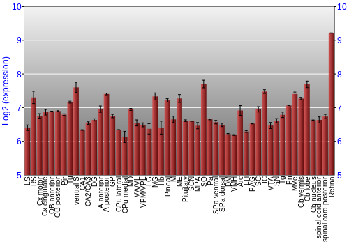 Expression graph