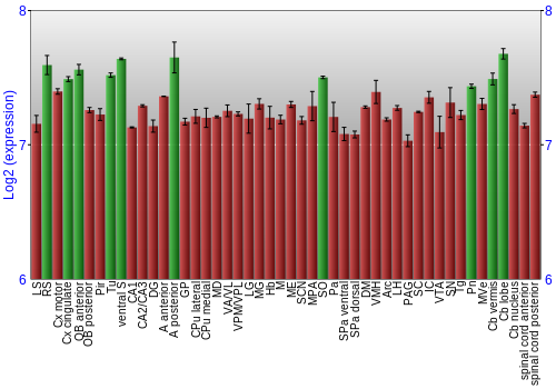 Multi-state expression graph
