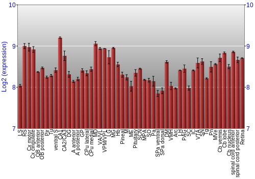 Expression graph