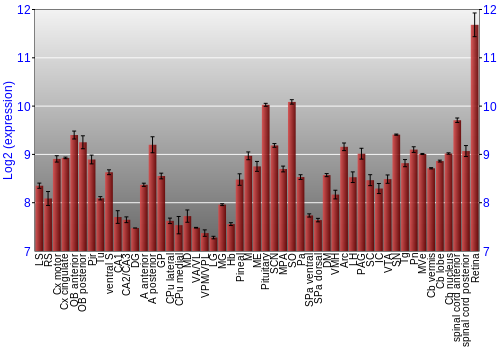 Expression graph