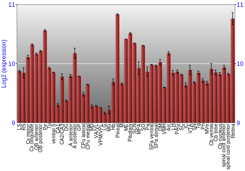 Expression graph