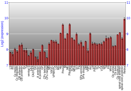 Expression graph