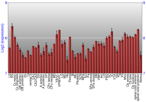 Expression graph